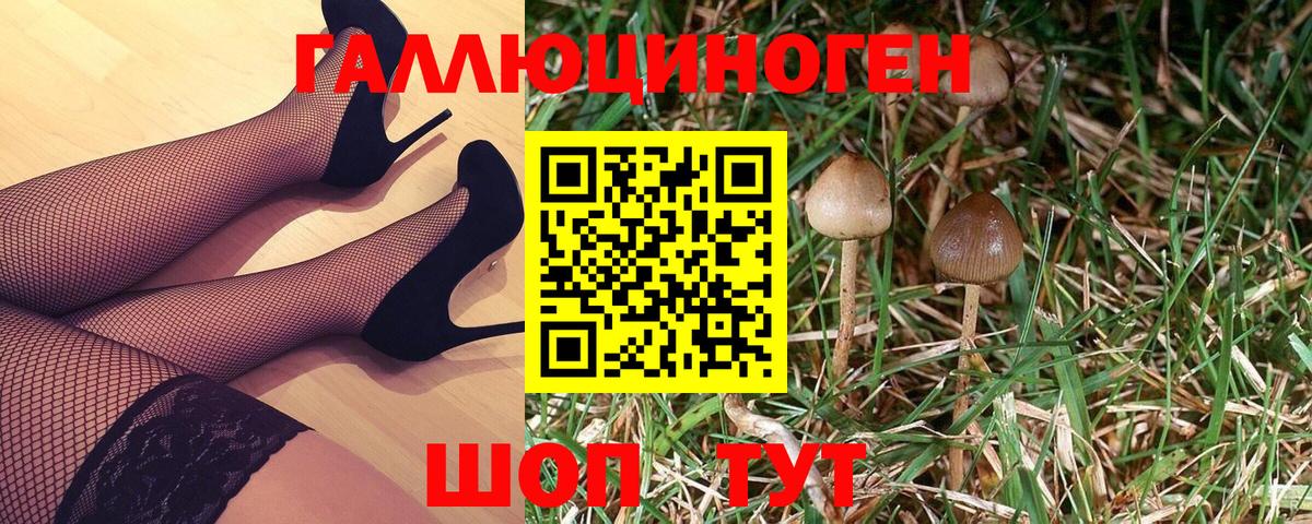 Галлюциногенные грибы мухоморы Симферополь